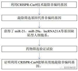 基因编辑技术解析的原理