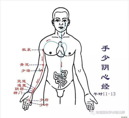 经络按摩手法大全，轻松开启健康之门