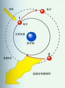 量子理论的基本概念