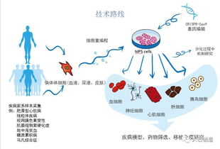 基因编辑技术：掌控生命之源的神秘之手