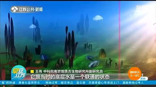 海洋深处的生物奥秘：揭开神秘生物的惊奇发现