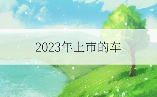 2023年上市的车