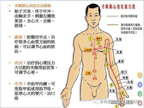 经络按摩的方法