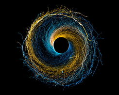 宇宙中的黑洞原理是什么