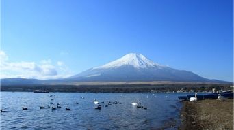 海外旅行をするときの