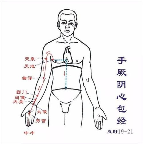 经络按摩的技巧有哪些