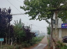 乡村道路和城市道路的区别