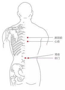 经络按摩手法大全