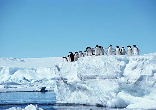 南极考察实录