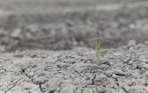 雨水季节如何防湿气排出