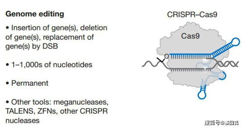 基因编辑技术综述