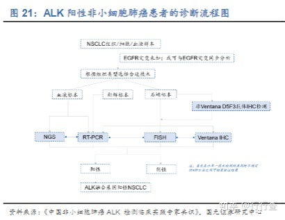 基因编辑技术是什么意思