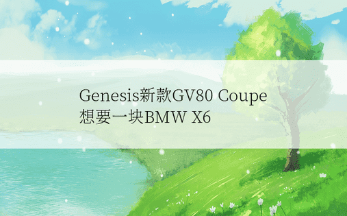 Genesis新款GV80 Coupe想要一块BMW X6