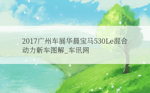 2017广州车展华晨宝马530Le混合动力新车图解_车讯网