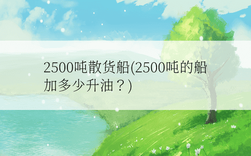 2500吨散货船(2500吨的船加多少升油？)