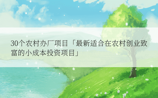 30个农村办厂项目「最新适合在农村创业致富的小成本投资项目」