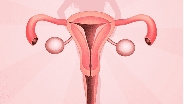 子宫肌瘤以什么肌瘤最常见 子宫肌瘤哪种最常见