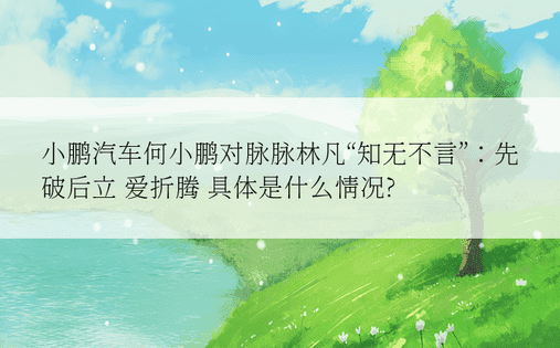 小鹏汽车何小鹏对脉脉林凡“知无不言”：先破后立 爱折腾 具体是什么情况?